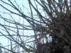 NWK 2014 069_small.jpg